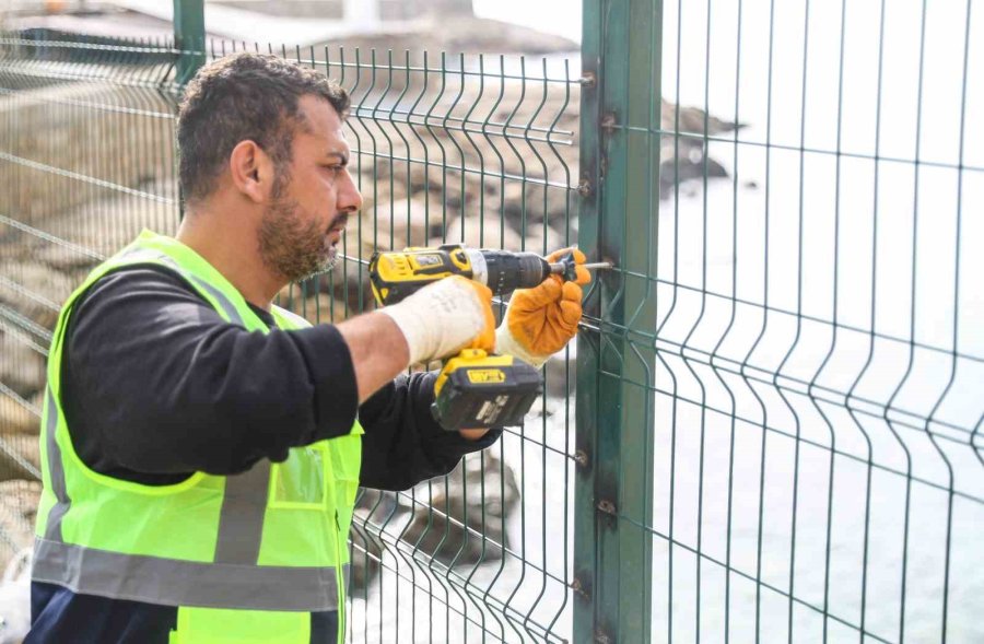 Hafriyat Altına Sıkışan Kedi Kalp Masajı Uygulanarak Hayata Döndürüldü