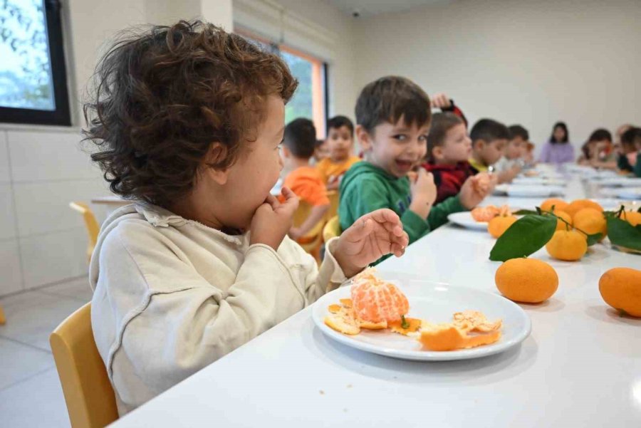 Çocukları Gibi Baktığı Bahçesindeki Meyvelerini Yetim Ve Öksüz Çocuklara Gönderiyor