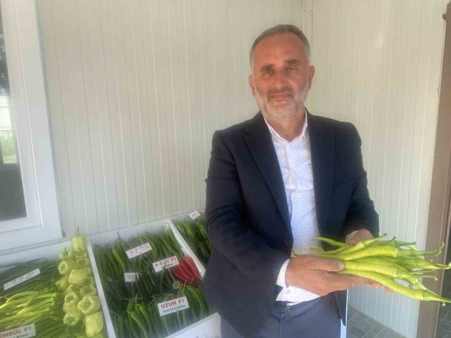 Yerli Ve Milli 50 Çeşit Hibrit Tohumu 35 Ülkeye İhraç Ediyor