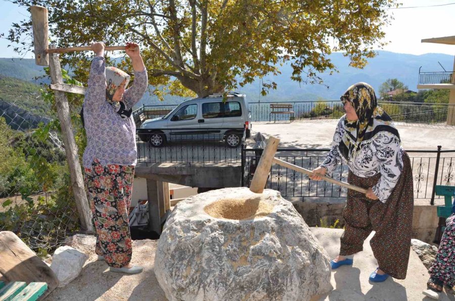 Antalyalı Kadınların Erişte Kesme Ve Dibek Taşında Buğday Dövme Geleneği