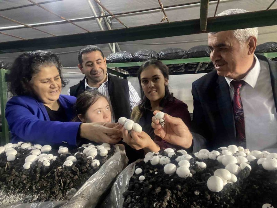 Özel Öğrenciler, Tarım Lisesi Öğrencilerinin Ürettikleri Mantarları Ve Sebzeleri Birlikte Topladı