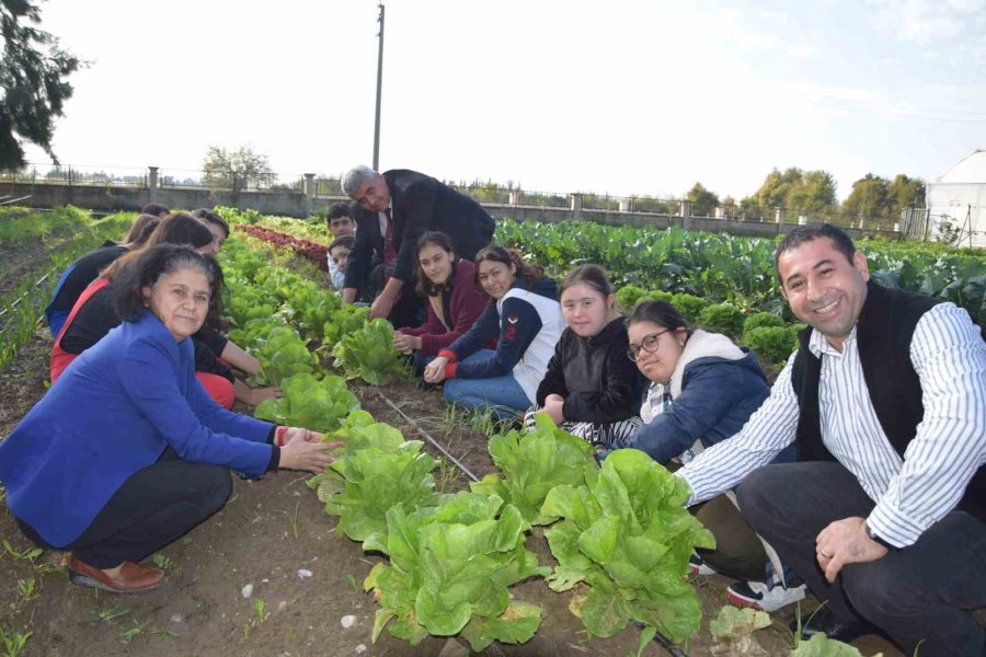 Özel Öğrenciler, Tarım Lisesi Öğrencilerinin Ürettikleri Mantarları Ve Sebzeleri Birlikte Topladı