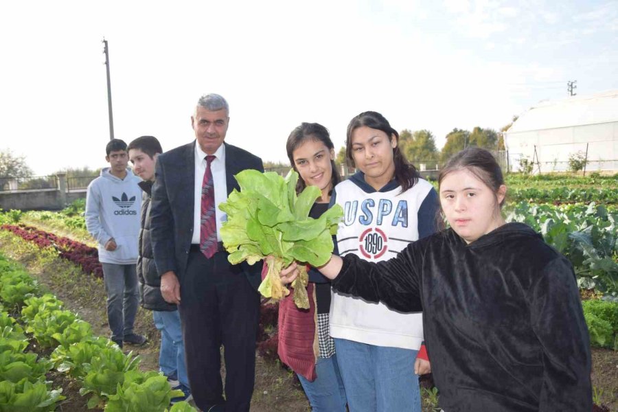 Özel Öğrenciler, Tarım Lisesi Öğrencilerinin Ürettikleri Mantarları Ve Sebzeleri Birlikte Topladı