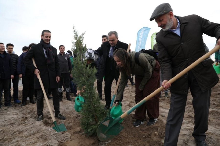 Türkiye Yüzyılında Herkesin En Az İki Dikili Ağacı Oldu