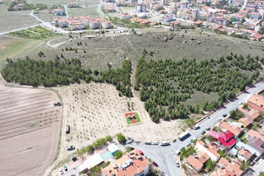 Türkiye Yüzyılında Herkesin En Az İki Dikili Ağacı Oldu