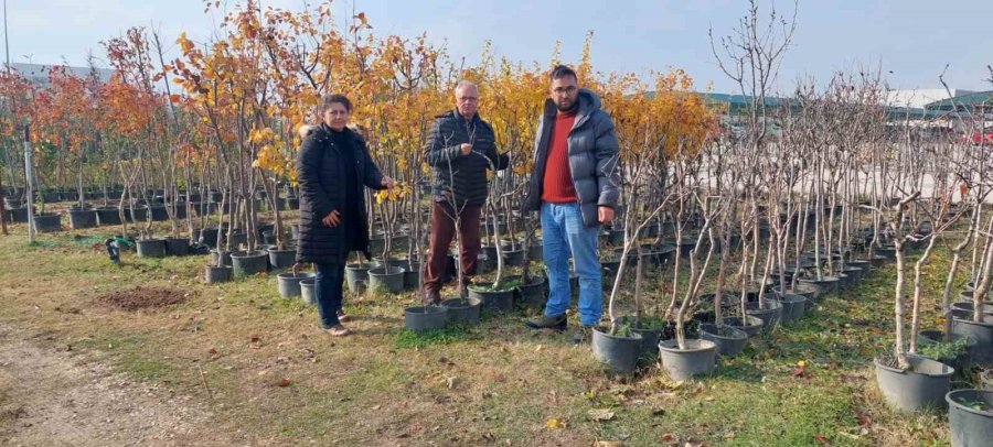 Eskişehir’de Fide Ve Fidan Satış Yerleri Denetleniyor