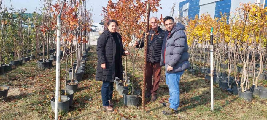 Eskişehir’de Fide Ve Fidan Satış Yerleri Denetleniyor