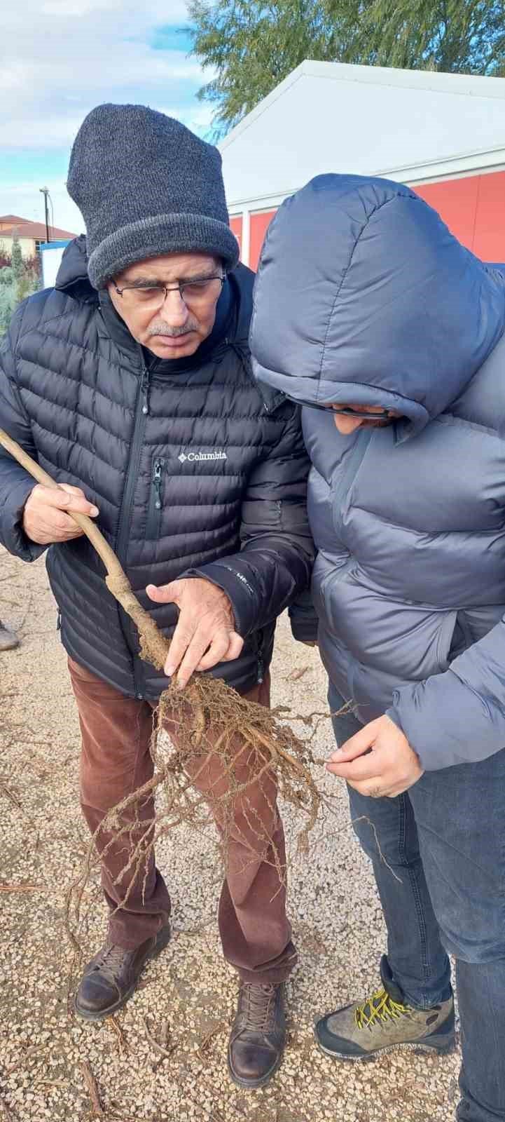 Eskişehir’de Fide Ve Fidan Satış Yerleri Denetleniyor