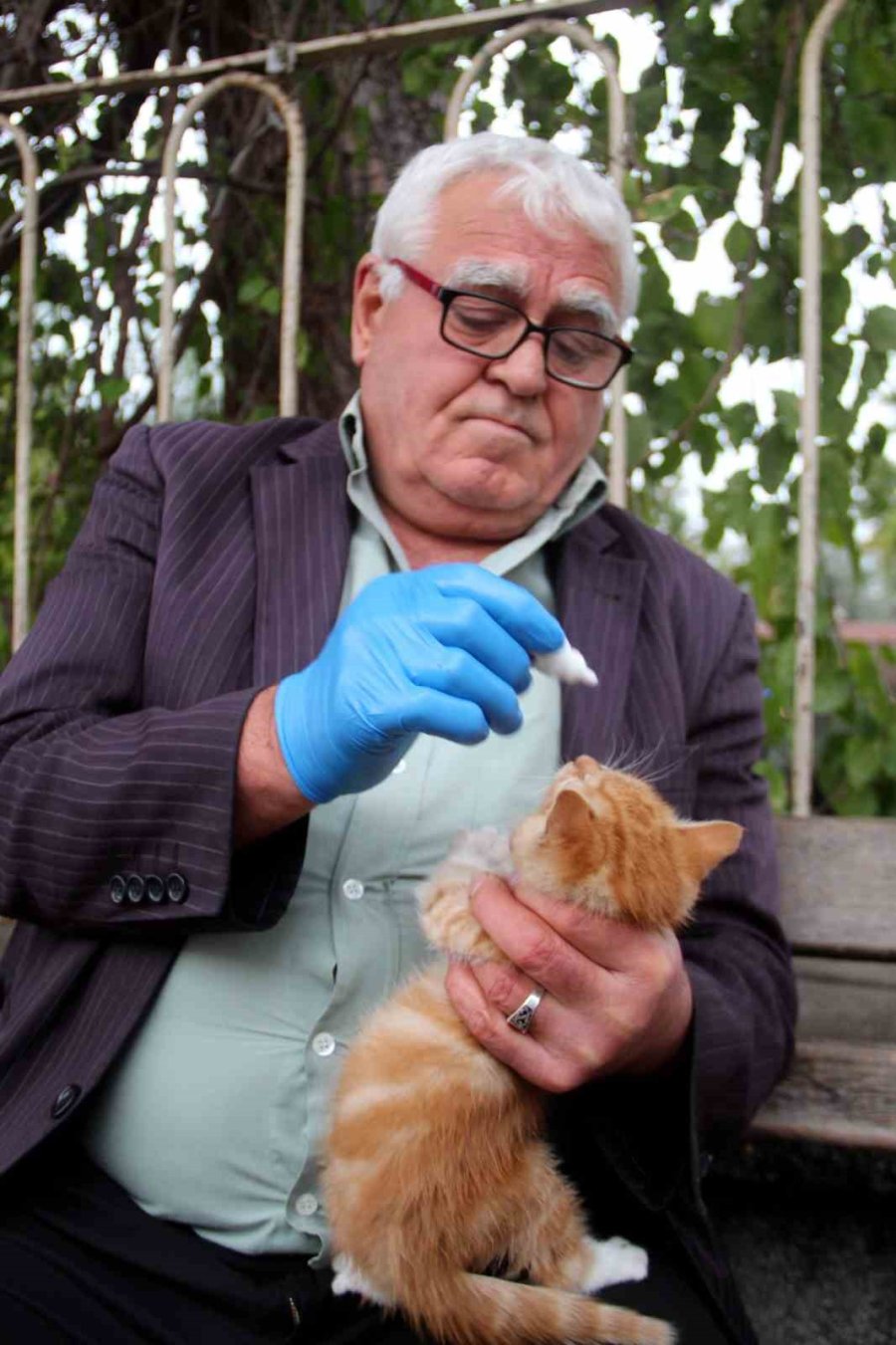 Sokak Kedilerinin ’kedici Babası’