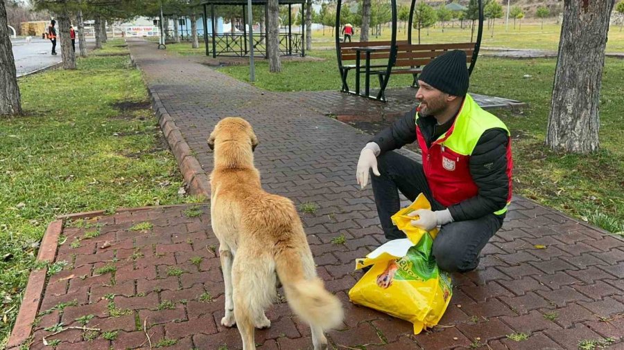 Türkuaz Arama Kurtarma Gönüllülerinden Örnek Davranış