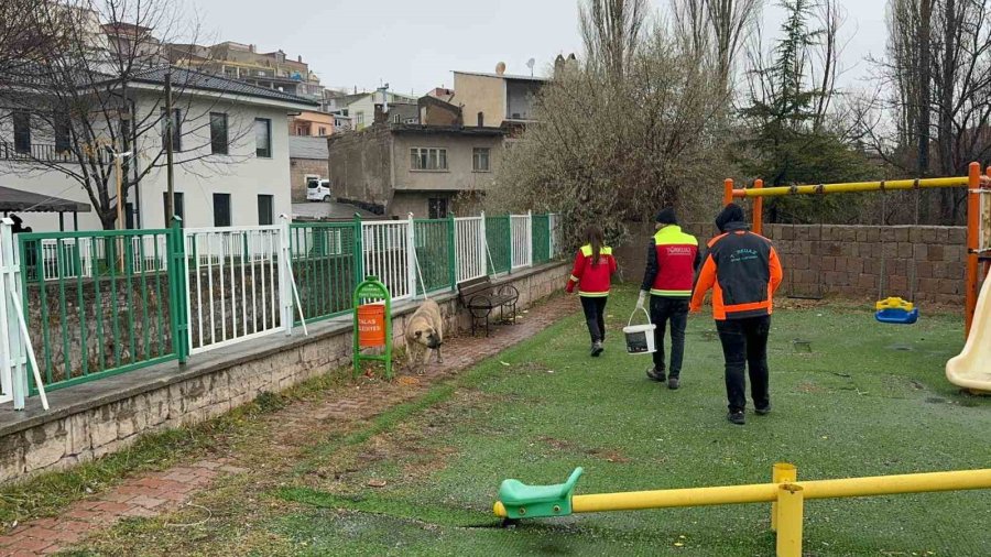 Türkuaz Arama Kurtarma Gönüllülerinden Örnek Davranış