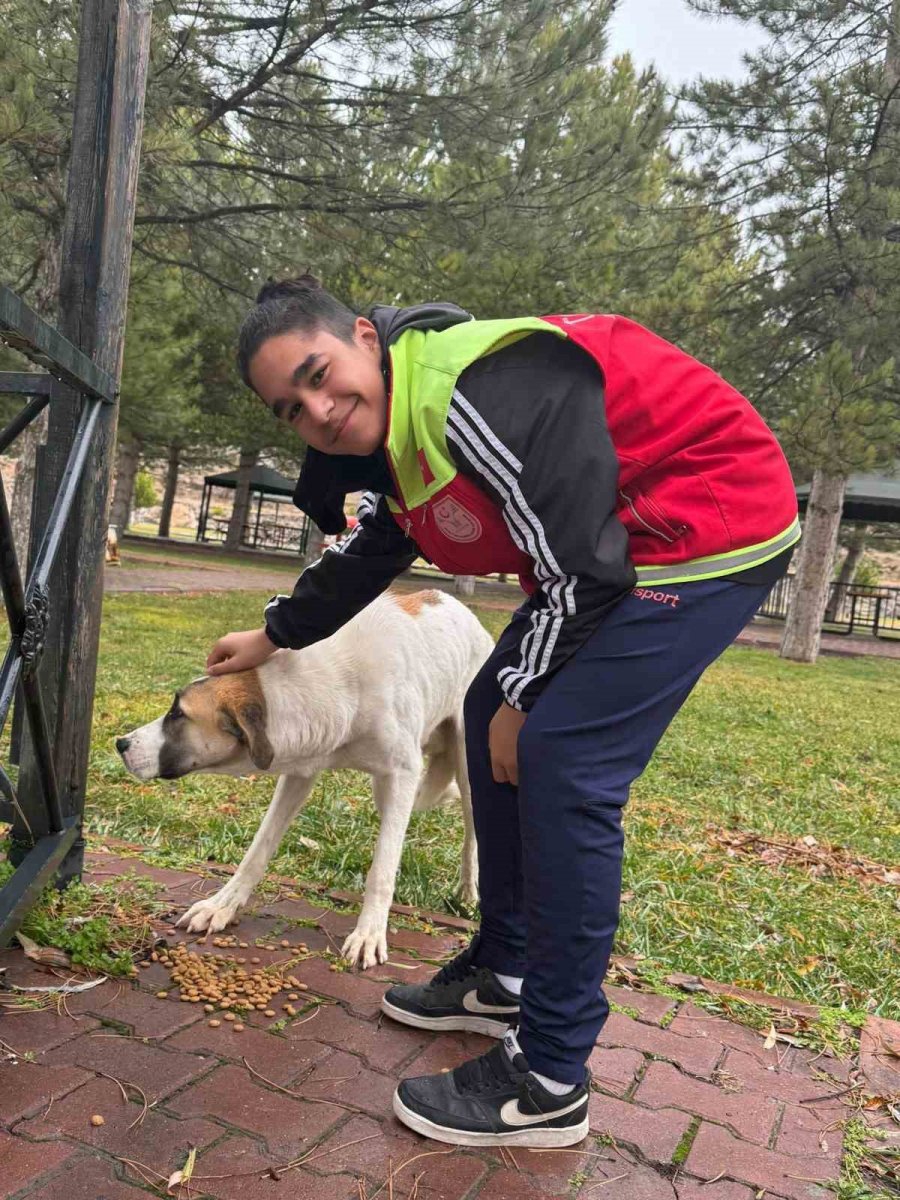 Türkuaz Arama Kurtarma Gönüllülerinden Örnek Davranış