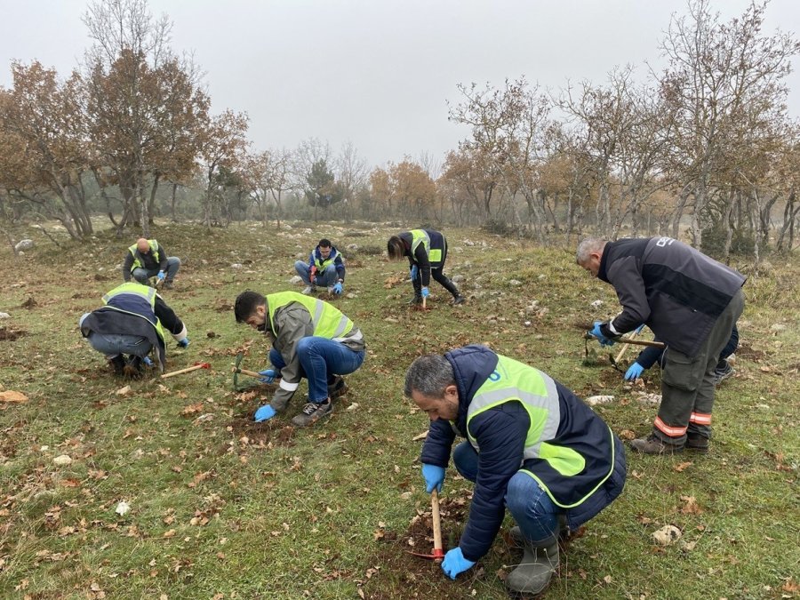 Oedaş’tan İkinci Yüzyıla ‘hatıra Ormanı’ Mirası