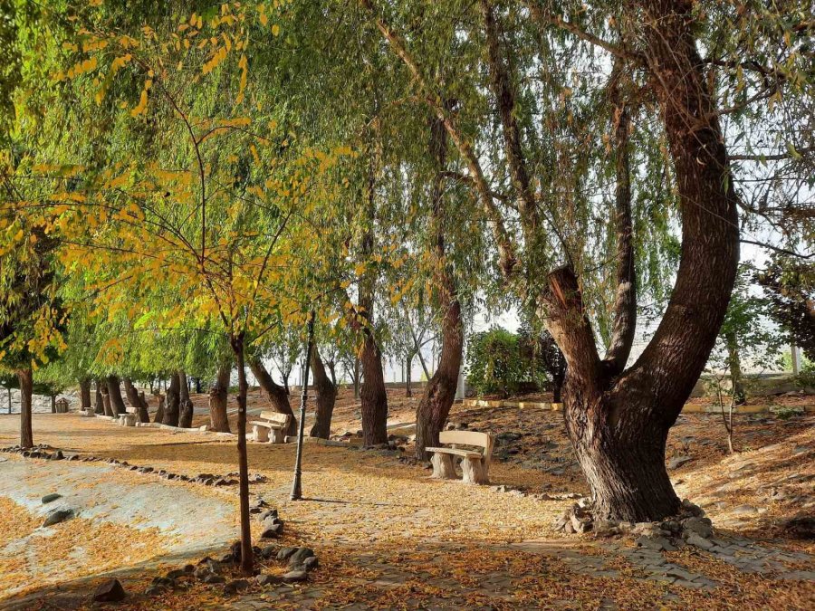 ‘bor’da Sonbahar’ Temalı Fotoğraf Yarışması Sonuçlandı