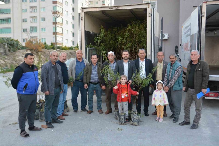 Mersin’de Üreticilere Badem Fidanı Desteği