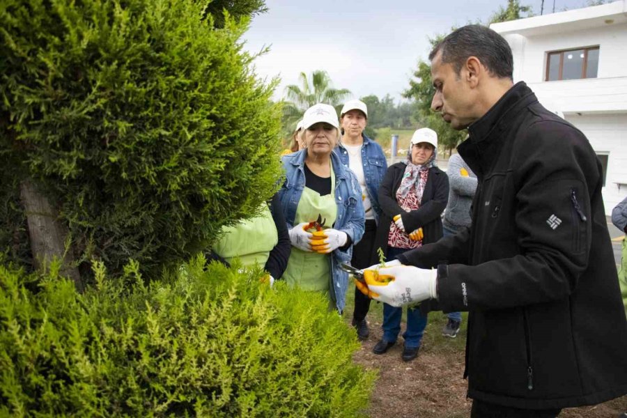 Mersin’de Kadınlara Uygulamalı Budama Eğitimi