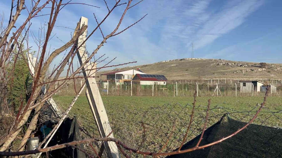 Hırsızlar Hem Evi Soydu Hem De Ev Sahibinin Köpeklerini Öldürdü