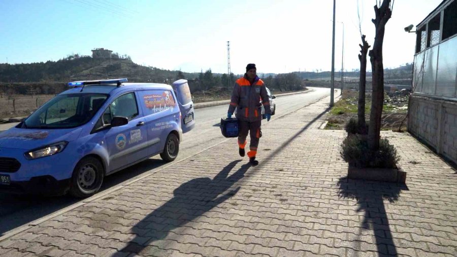 Melikgazi’de Sahipsiz Ve Yaralı Hayvanlar ‘sevimli Dost Ambulansı’na Emanet