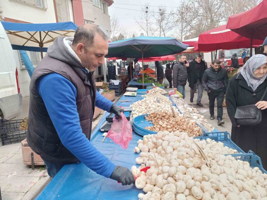 Vatandaşları Çeşit Çeşit Mantarlara İlgi Gösteriyor