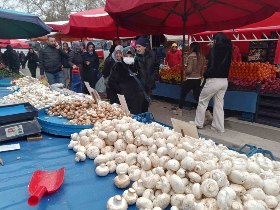 Vatandaşları Çeşit Çeşit Mantarlara İlgi Gösteriyor