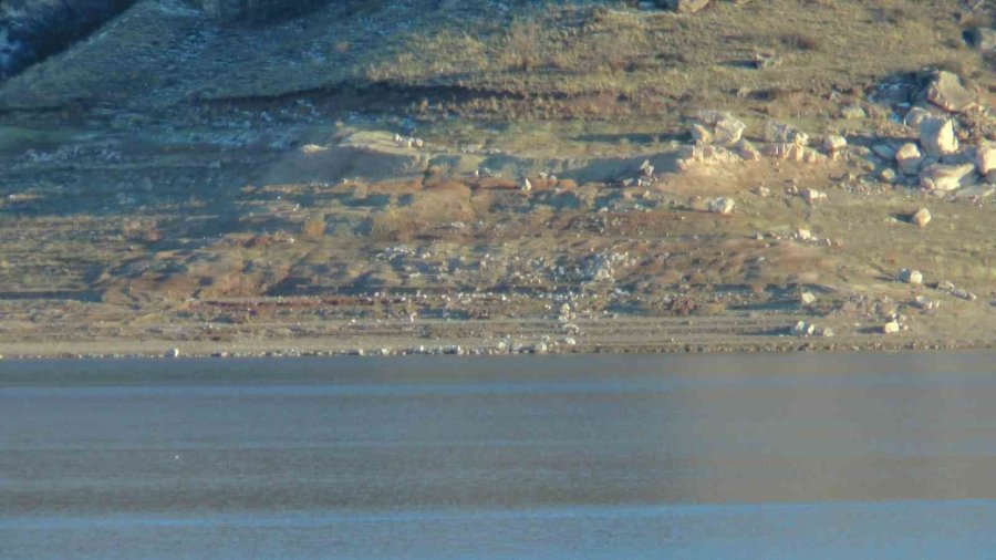 Yağış Olmadı, Yamula Barajı’nda Sular Çekildi