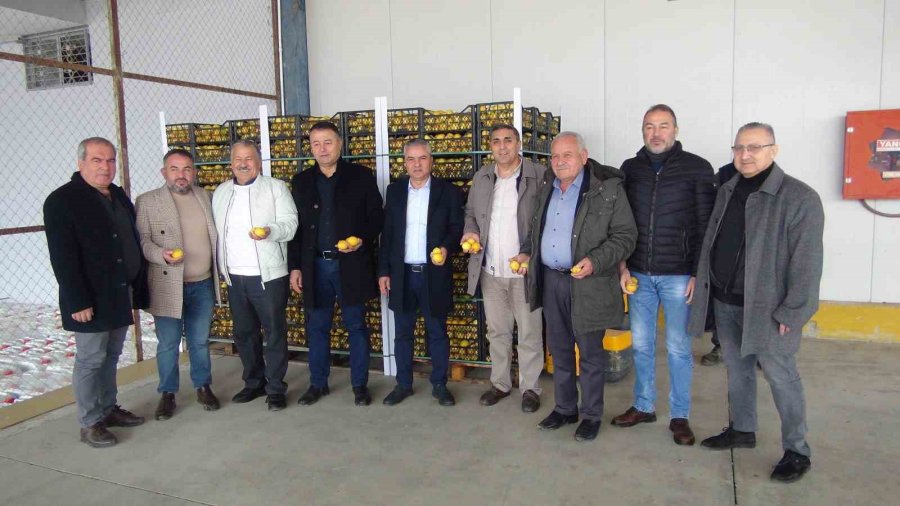 “üretici-tüketici El Ele Kampanyası” İle Mersin’den Aksaray’a 20 Ton Ücretsiz Limon Gönderildi