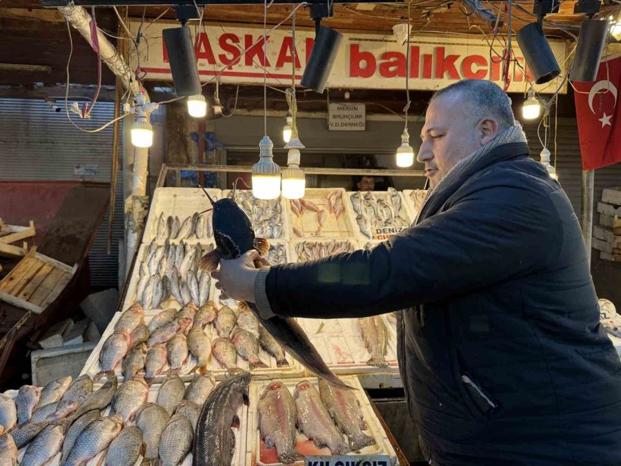 Akdeniz’de Balık Bereketi