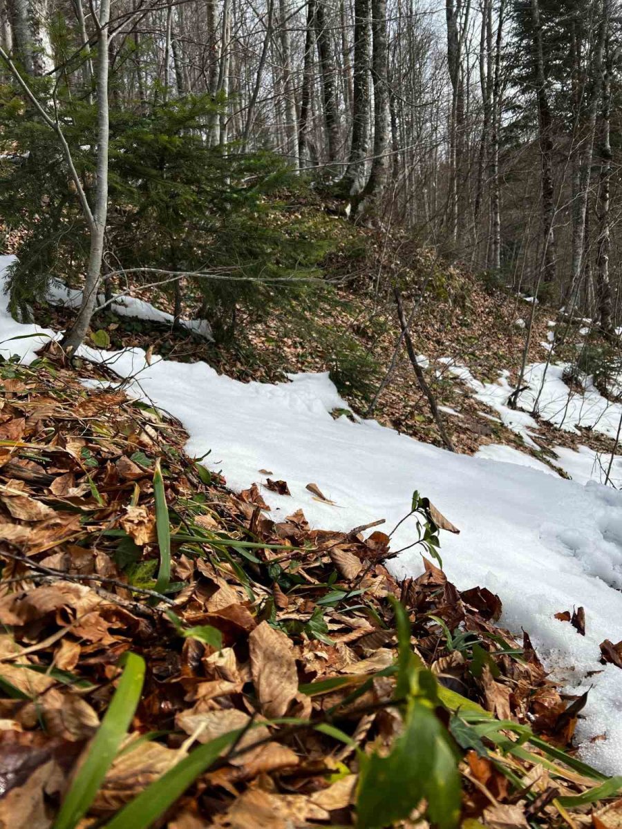 Eskişehirli Doğa Tutkunları Bursa’da 17 Kilometre Yürüdü