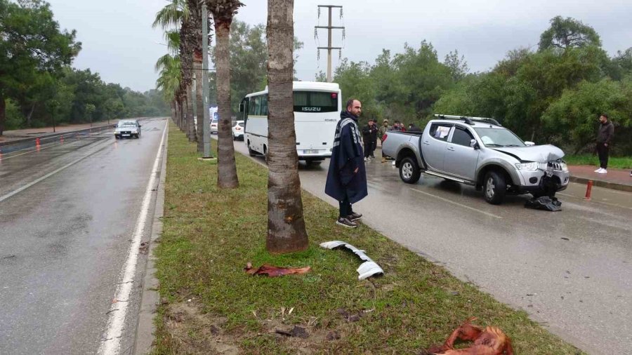 Yolda Kayan Kamyonet Refüjdeki Palmiyeye Çarptı: 2 Yaralı