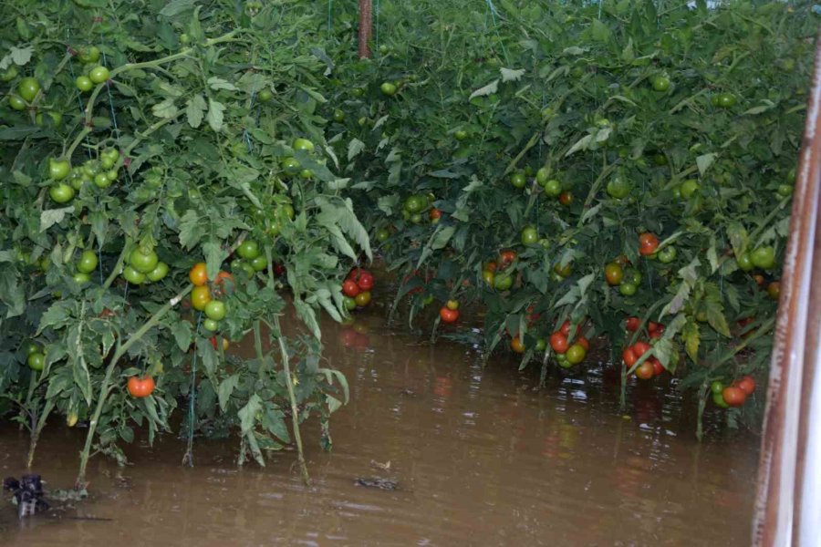 Antalya’da Bir İlçe Adeta Sular Altında Kaldı, Çiftçiler Seralarına Gitmekte Zorlandı