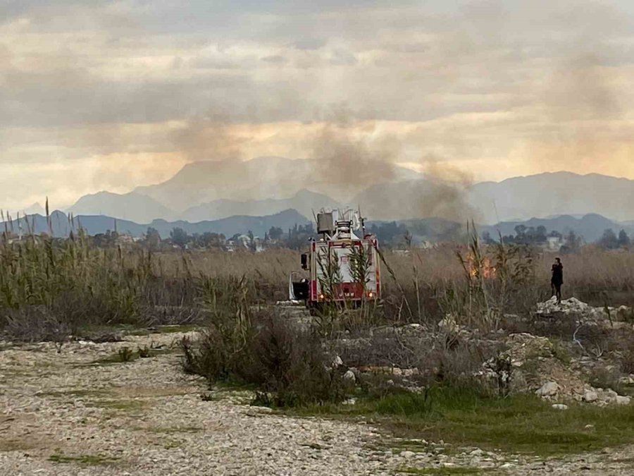 Sazlık Alanda Çıkan Yangın Korkuttu