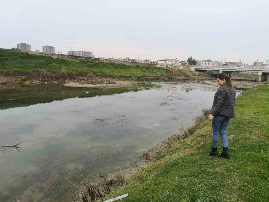 Kırmızı Akan Berdan Nehri Normale Döndü