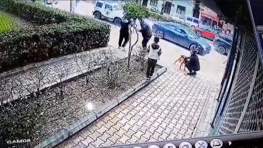 Çaldığı Köpeğin Sahibine Ve Polise Bıçak Çekti, Gözaltına Alındı