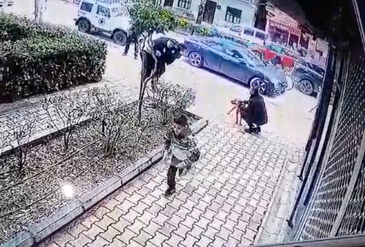 Çaldığı Köpeğin Sahibine Ve Polise Bıçak Çekti, Gözaltına Alındı