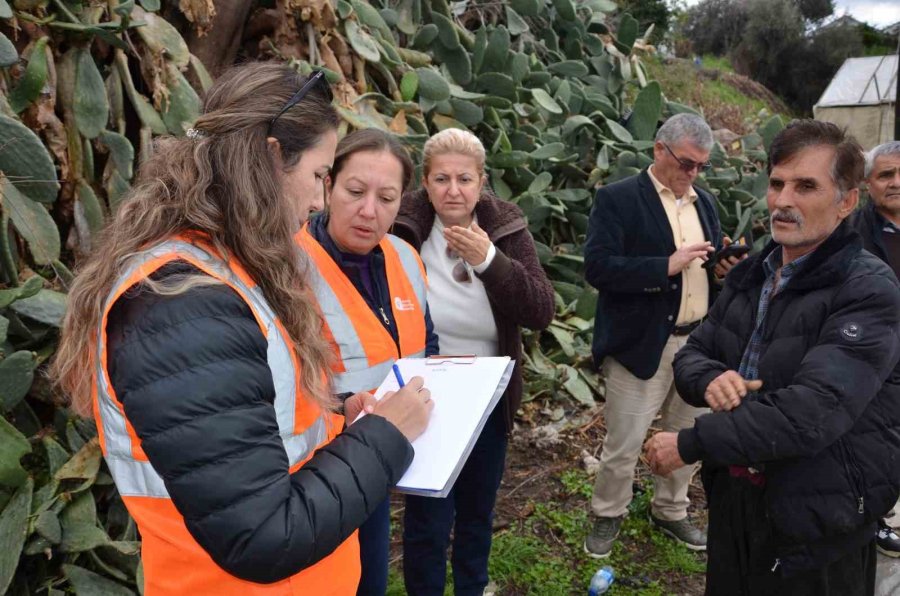 Alanya’da Dolu Yağışında Seraları Zarar Gören Üreticiye Naylon Desteği Verilecek