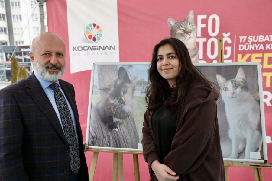 Kocasinan’da Kedi Temalı Fotoğraf Yarışması’nda Kazananlar Ödüllerini Aldı