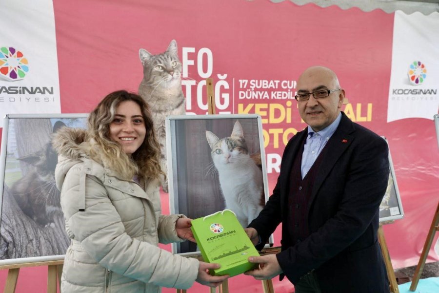 Kocasinan’da Kedi Temalı Fotoğraf Yarışması’nda Kazananlar Ödüllerini Aldı