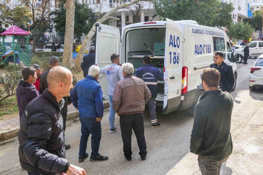 Çocuk Oyun Parkında Ölü Bulundu, Vatandaşların Ceset Merakı ‘pes’ Dedirtti