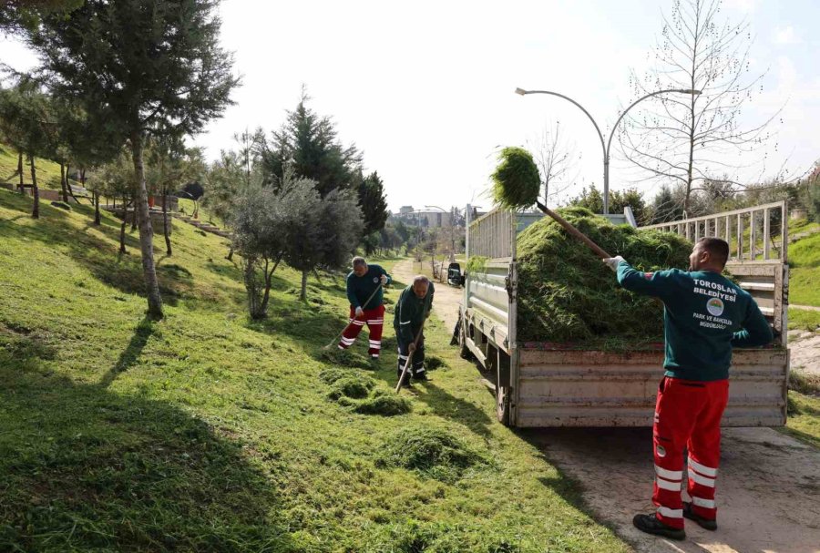 Toroslar’da Park Ve Yeşil Alanlara Bakım