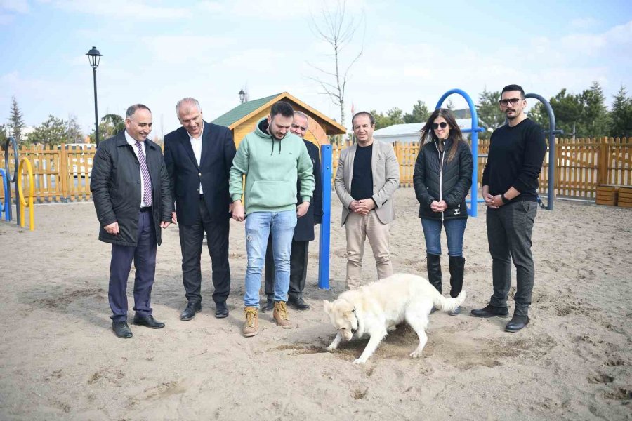 Büyükşehir’in Köpek Eğitim Parkuru Millet Bahçesi’nde Hizmete Hazır