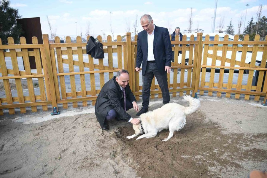 Büyükşehir’in Köpek Eğitim Parkuru Millet Bahçesi’nde Hizmete Hazır