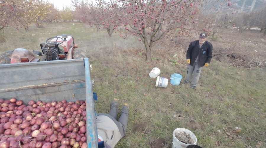 Tarlada Çalışan Babaya ’dron’ Şakası Gülme Krizine Soktu