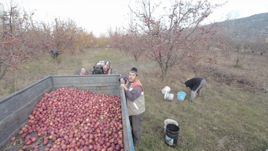 Tarlada Çalışan Babaya ’dron’ Şakası Gülme Krizine Soktu