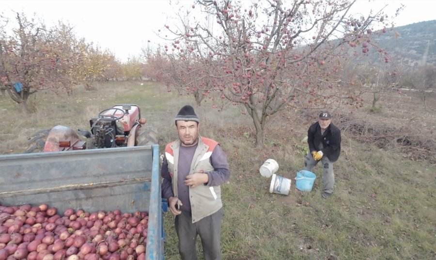 Tarlada Çalışan Babaya ’dron’ Şakası Gülme Krizine Soktu