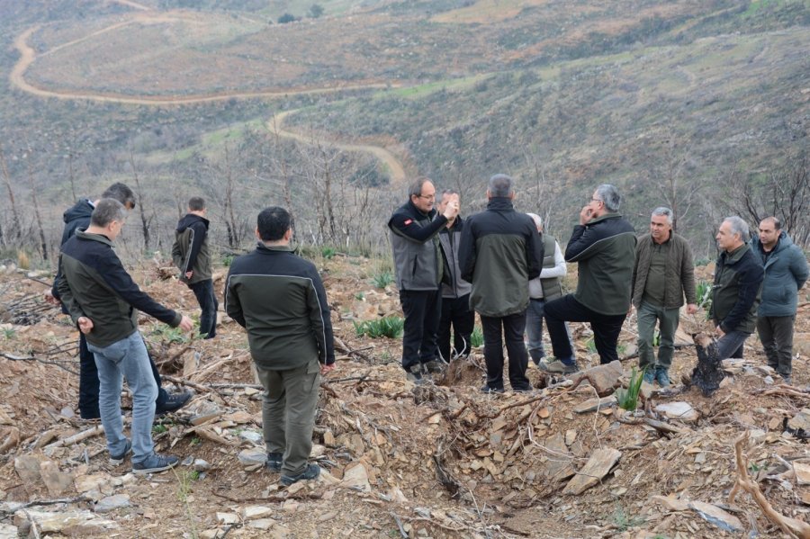 Yalçın, Yanan Sahalardaki Yeşillendirme Çalışmalarını İnceledi