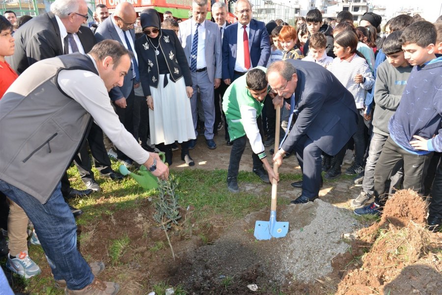 Mersin’de Okul Bahçelerine 600 Zeytin Fidanı Dikildi