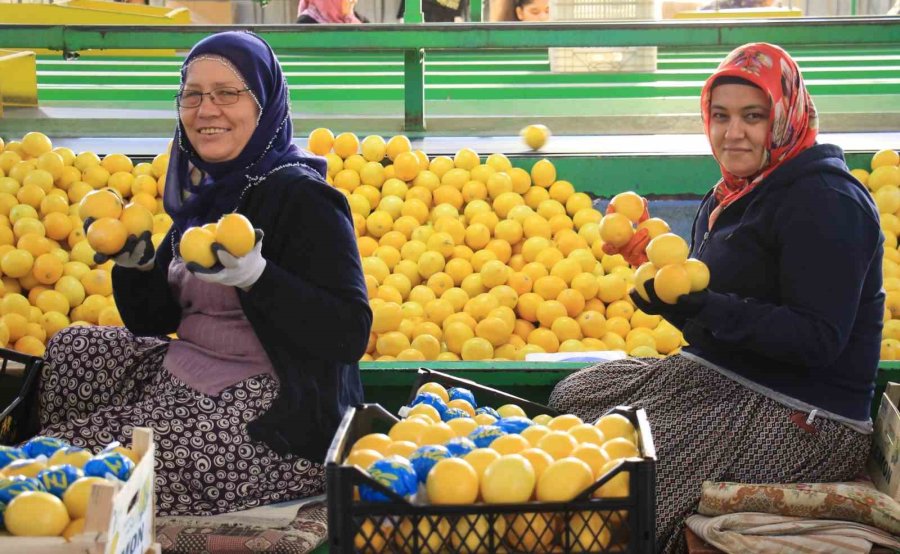 Hasattan Paketlemeye Her Alanda Kadınlar Mesaide