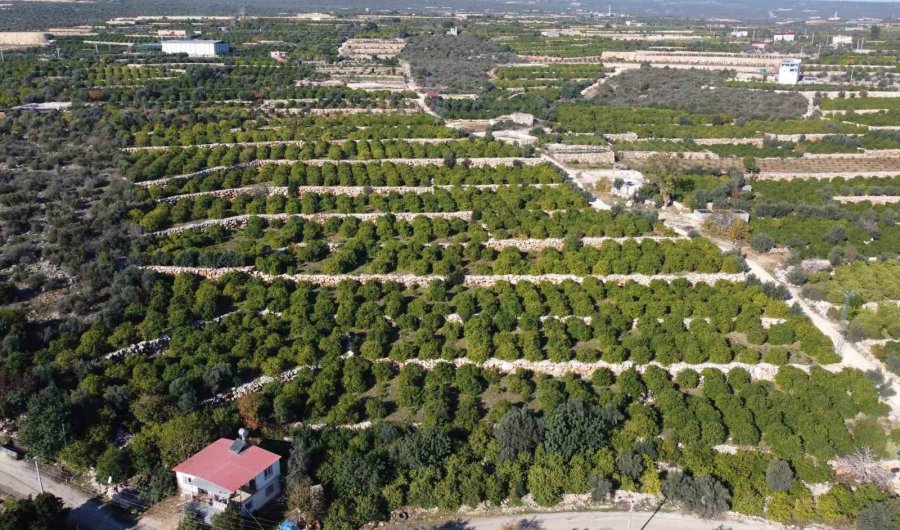 Hasattan Paketlemeye Her Alanda Kadınlar Mesaide