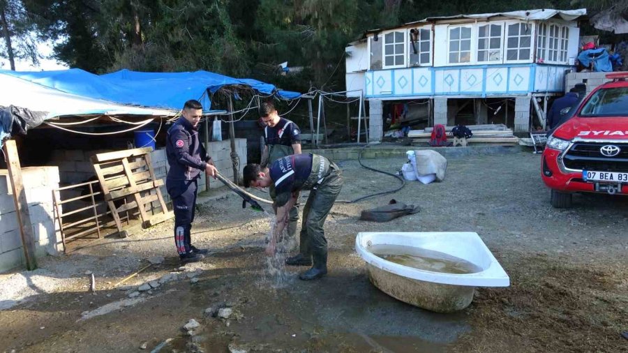 Antalya’da Sulama Kuyusuna Düşen İnek Seferberliği