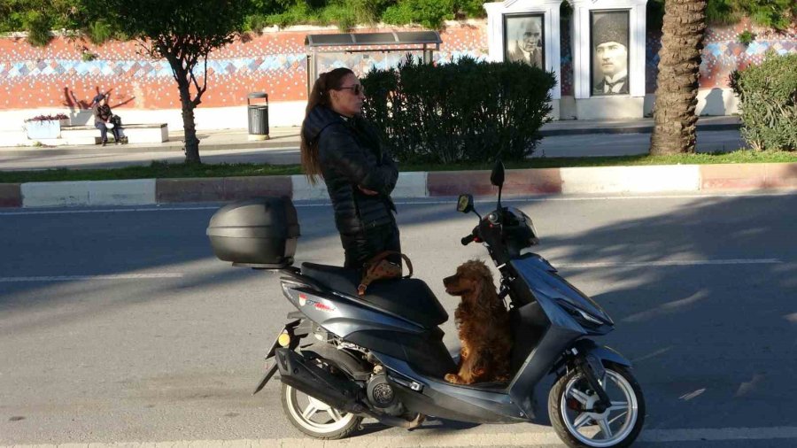 Oyuncak Scooterıyla Uygulamaya Geldi, Polisin Önünde Büyüklerine Ders Verdi